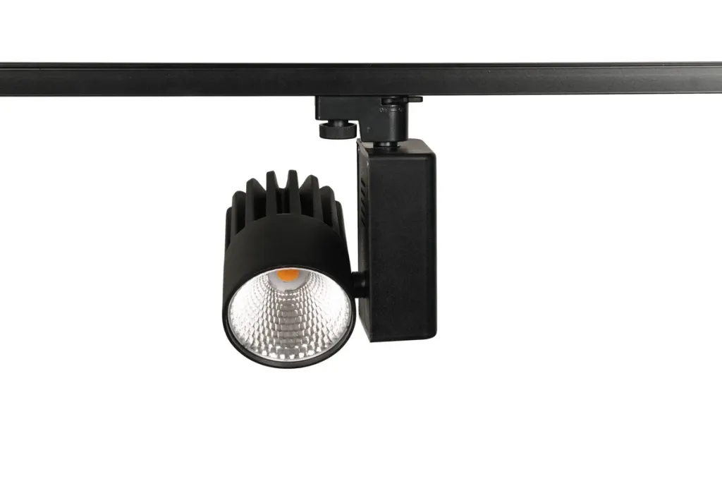 40W Ray Spot Expert