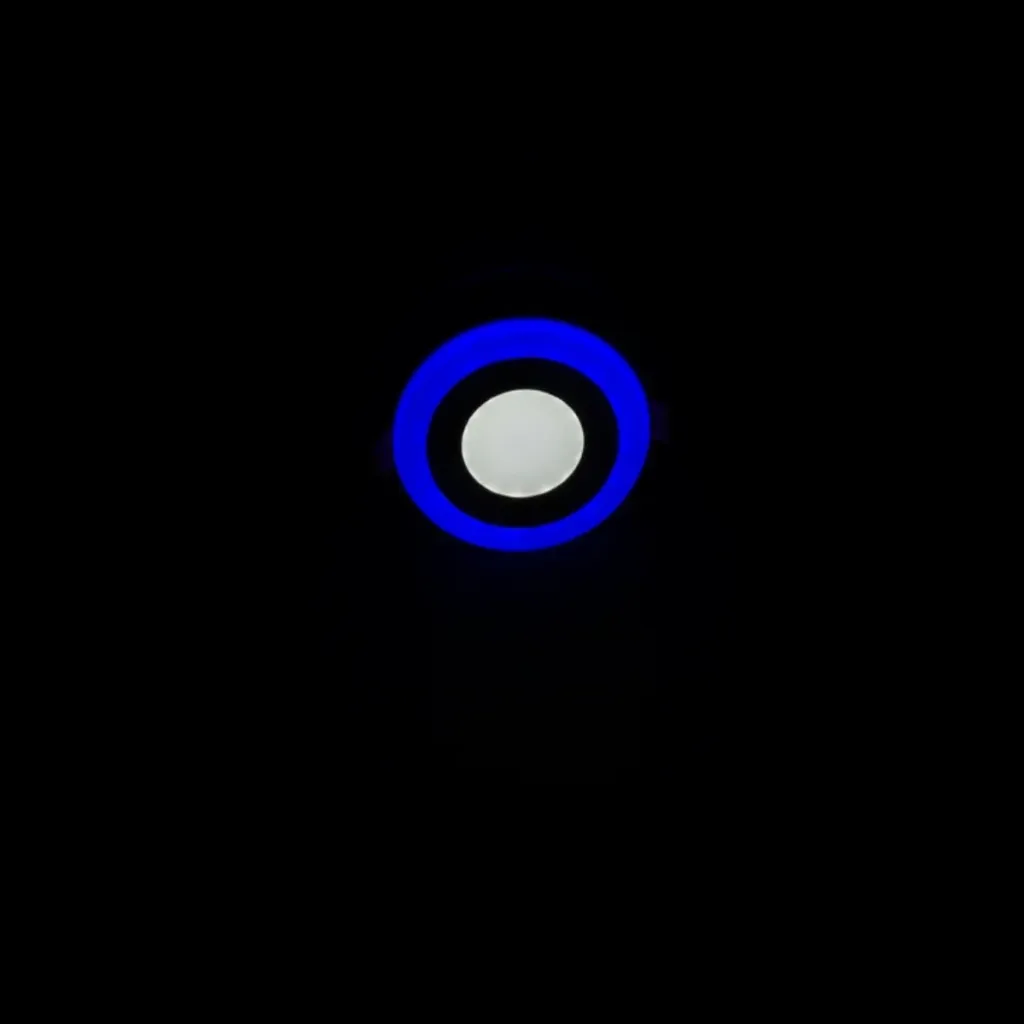 6W Doppel Farbe (Weiß-Blau) Panel