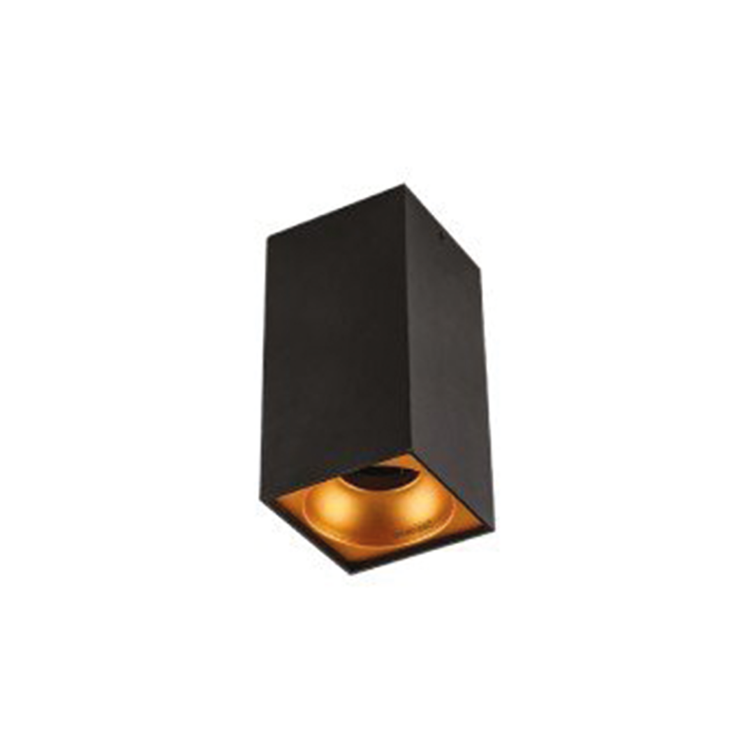 Aufbau Wandleuchte Leuchte Schwarz-Gold