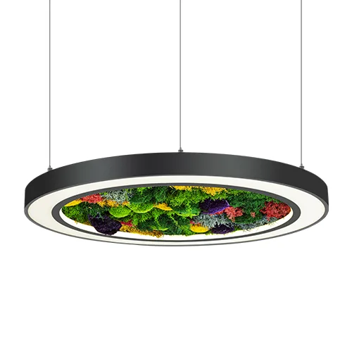 80cm 150 واط طحلب أشنة حلقة خطي إنارة وحدة 80cm 150 Watt Moss Liken Simit Linear Aydınlatma Armatürü