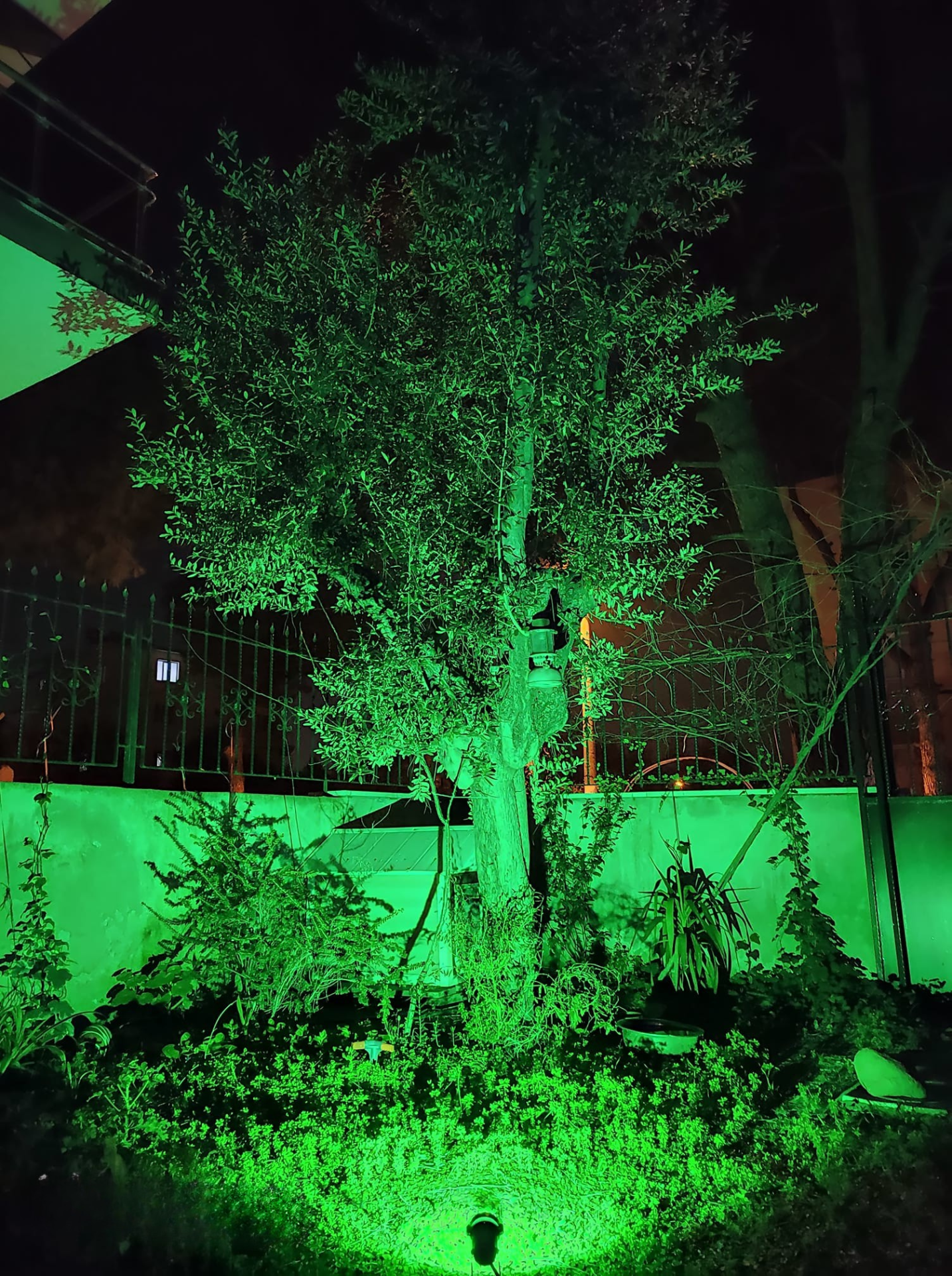 LED Tree Garden and Landscape Luminaire 36W LED Tree Garden and Landscape Luminaire 36W