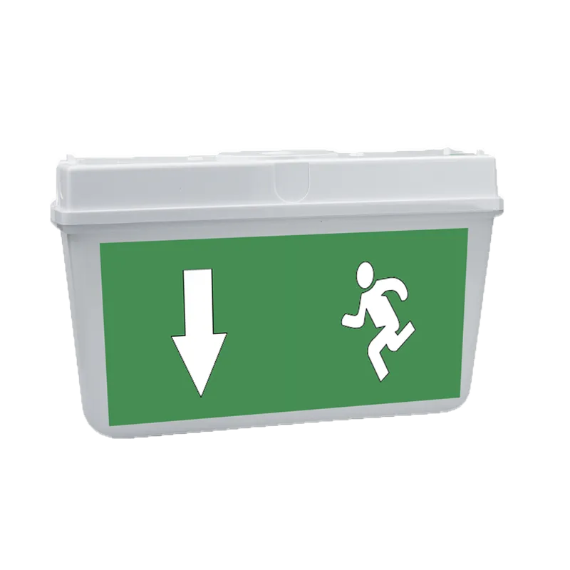 Rausled Exit Yönlendirme Armatürü 5W Rausled Exit Yönlendirme Armatürü 5W